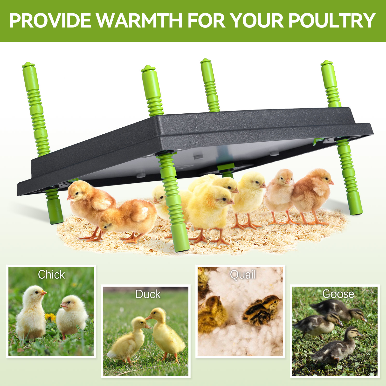 30x40cm Chick Brooder Heating  - Hot Dog Roller Grill 评论和价格